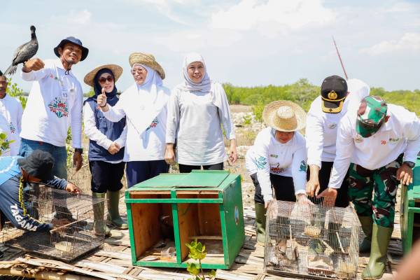 Tanam 22.500 Bibit Mangrove Pada Festival Mangrove Ke-VI Jatim di Sumenep