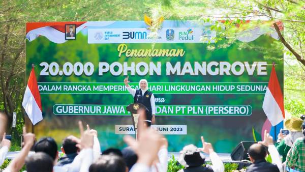 Tanam 20.000 Mangrove Bersama PLN dan DEN  Bentuk Nyata Jaga Lingkungan untuk Lestarikan Alam