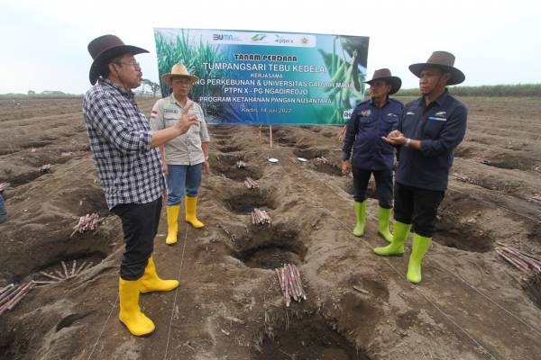 Sukseskan Swasembada Pangan Nasional, PTPN X Gandeng UGM Yogyakarta