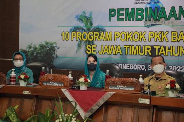 Arumi Bachsin Harapkan TP PKK Kab/Kota Aktif Keorganisasian dan Proker