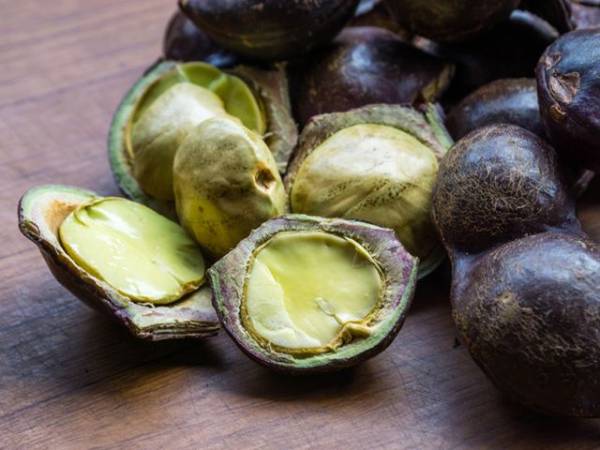 Jengkol, Si Bau yang Kaya Manfaat