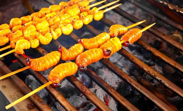 Ahli Gizi Sebut Belalang dan Ulat Sagu Bisa Jadi Menu MBG Aman