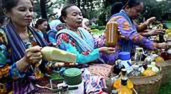 Jamu Diajukan Jadi Warisan Budaya Tak Benda UNESCO