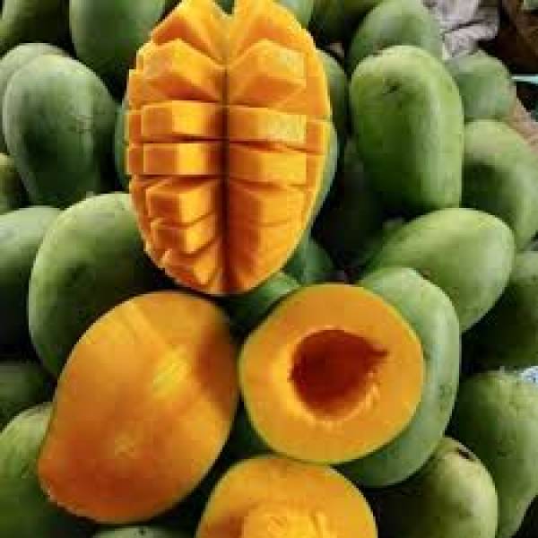 Istimewa Rasanya, Ini 5 Mangga dari Jawa Timur