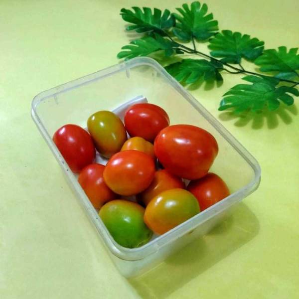 Cara Menyimpan Tomat agar Tidak Cepat Busuk