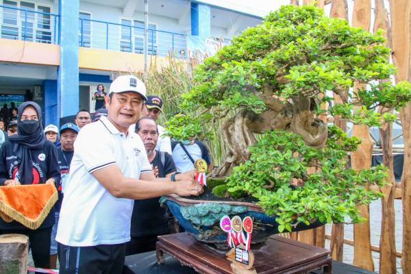 Kabupaten Lamongan Gelar Festival Bonsai