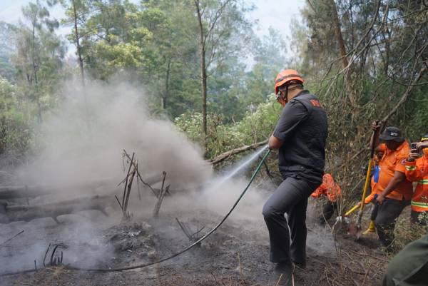 Penanganan Karhutla Gunung Bromo Dioptimalkan Jalur Darat