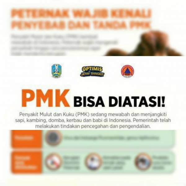 Berita Foto: PMK Belum Berakhir, Simak Penanganannya!