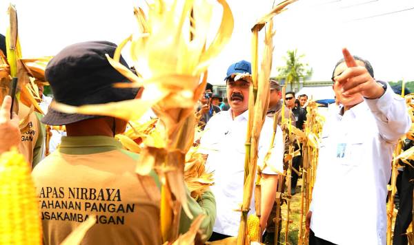Nusakambangan Bangkit Jadi Sentra Pangan dan Latihan Kerja Warga Binaan