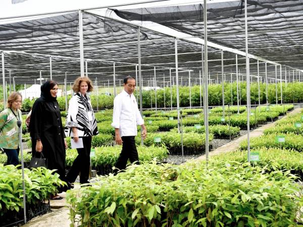 JokowiTunjukkan Komitmen Indonesia Terhadap Perubahan Iklim