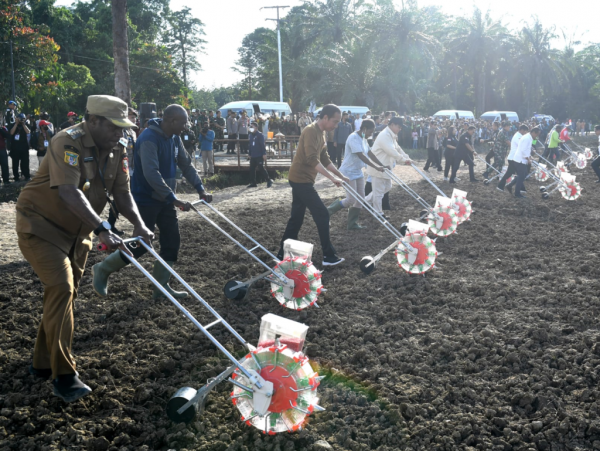 Begini Harapan Petani Kabupaten Keerom terhadap Lumbung Pangan Jagung