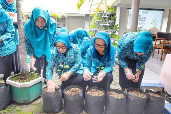 Pj. Ketua TP PKK Jatim Ajak Kader PKK Tanam Cabai di Pekarangan Rumah