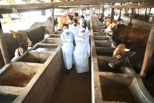 Khofifah Anjurkan Penyembelihan Kurban di RPH atau Dititipkan ke Lembaga yang Memenuhi Syarat