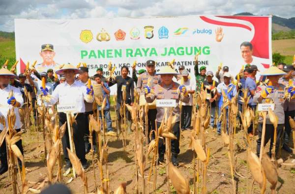 Panen Raya Jagung di Bone, Kapolri dan Mentan Kawal Ketahanan Pangan Nasional