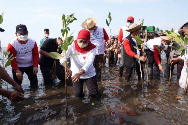 Buka Festival Mangrove Perdana, Khofifah Gelorakan Sedekah Oksigen dengan Menanam Mangrove
