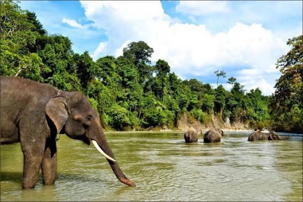 Mau Healing yang Berfaedah? Kunjungi 7 Wisata Ramah Lingkungan Ini!
