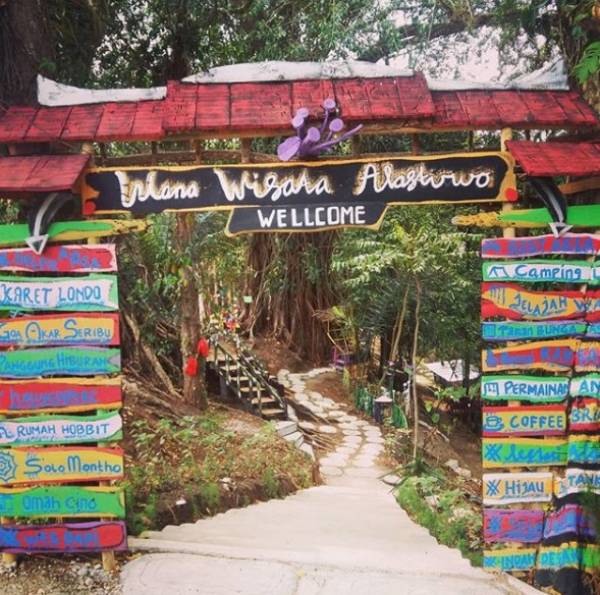 Bumi Perkemahan Alastuwo Magetan, Panorama Hutan Pinus dengan View Gunung Lawu