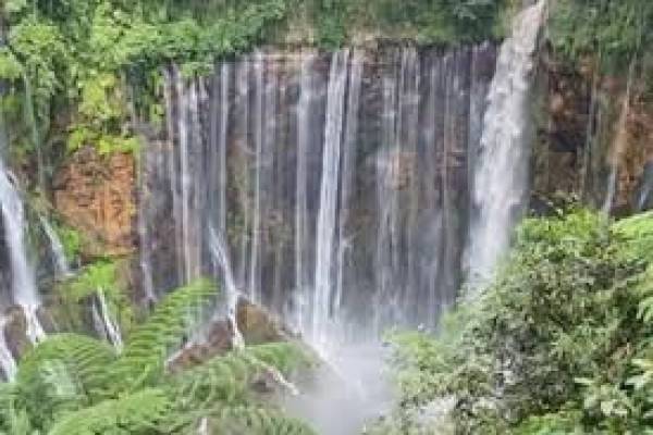 Healing Ke Lumajang, Austria van Java