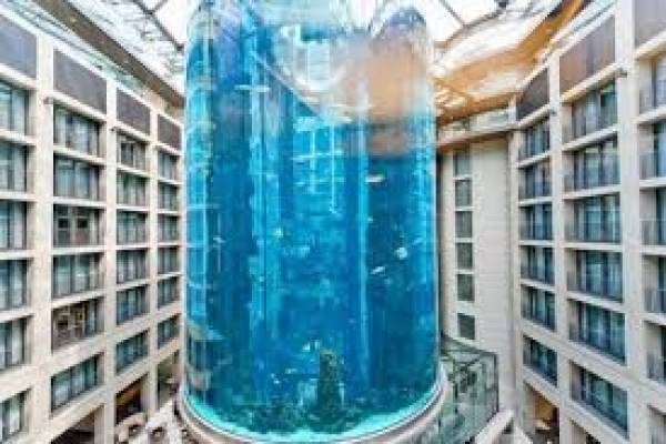 AquaDom, Akuarium Terbesar di Dunia yang Meledak