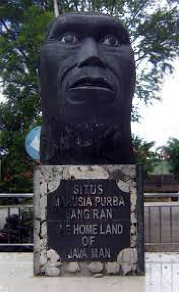 Jejak Manusia Purba di Desa Sangiran yang Diakui UNESCO